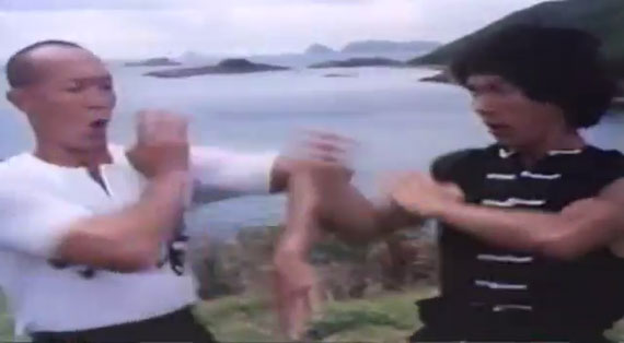 Lee Hoi San from Wong Shun Leung's video "The Science of Infighting"