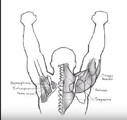 shoulder rehabilitation wing chun